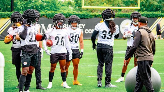 How should Steelers supplement roster before training camp? taken on the South Side (Steelers)